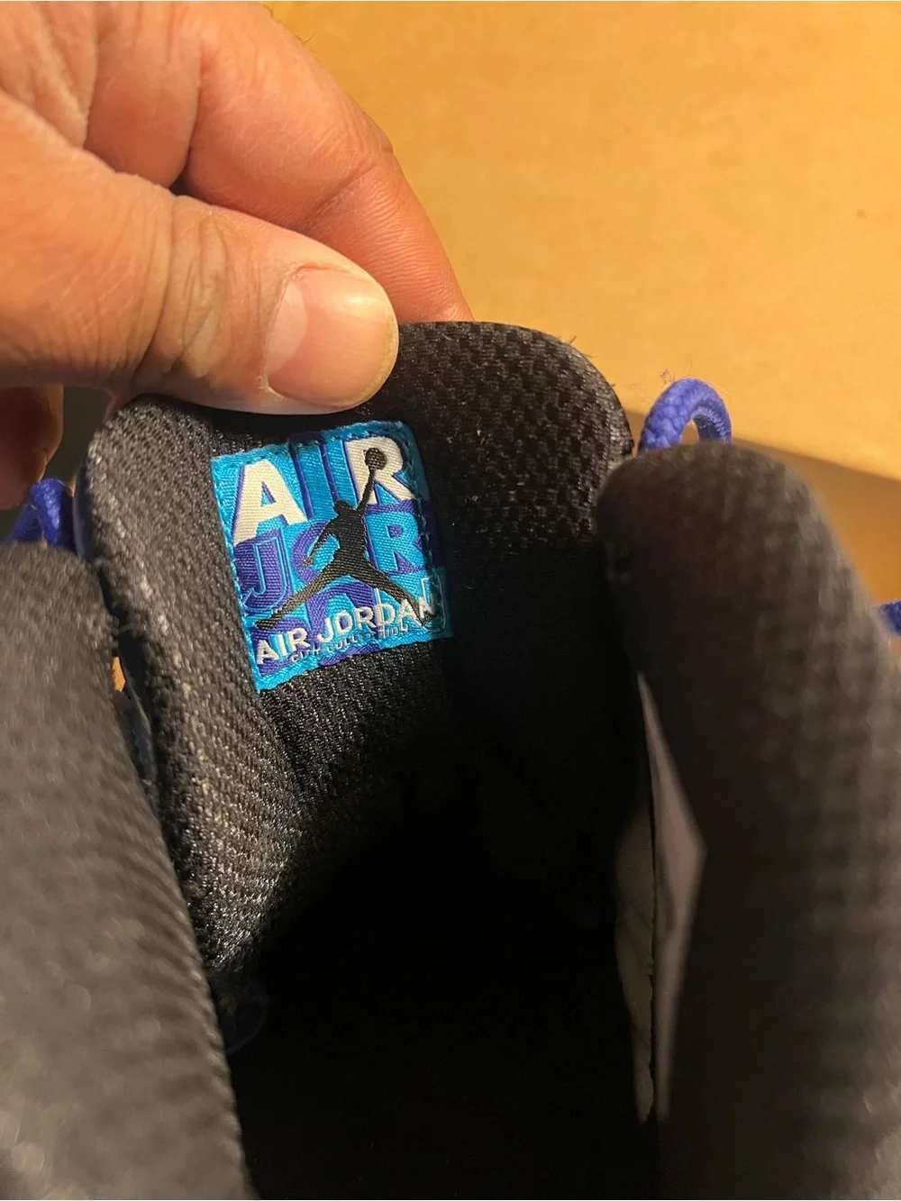 Nike Jordan 10 City Edition-Charlotte Hornets Mens 13